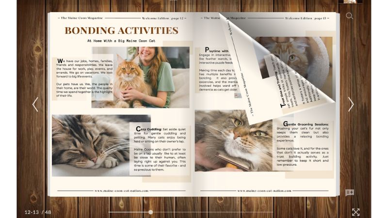 Maine Coon Magazine inside the magazine