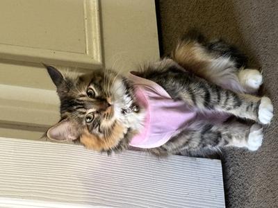 She’s so Beautiful 