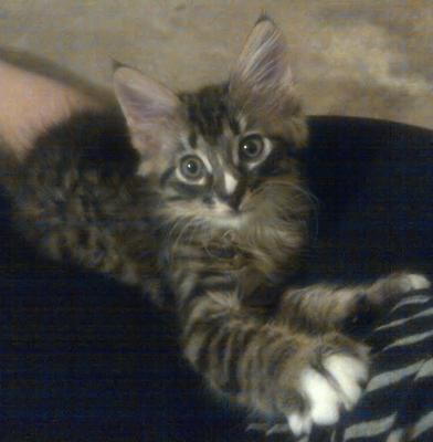 Izzy
