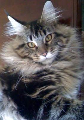 Libby