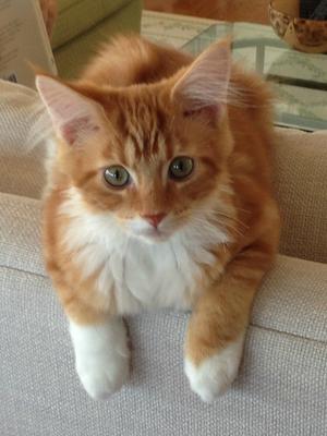 Jack