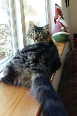 Jasper