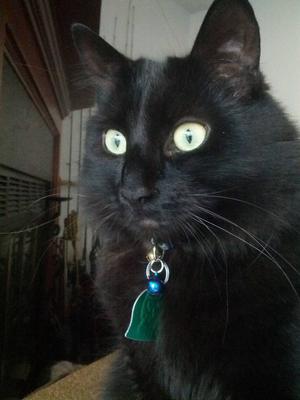 Jasper