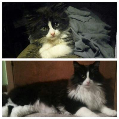 Jethro