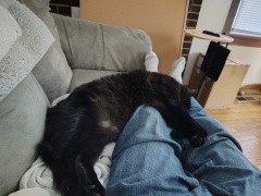 Kicked back on the couch