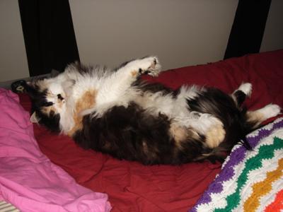 Josephine