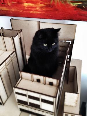 Kiki