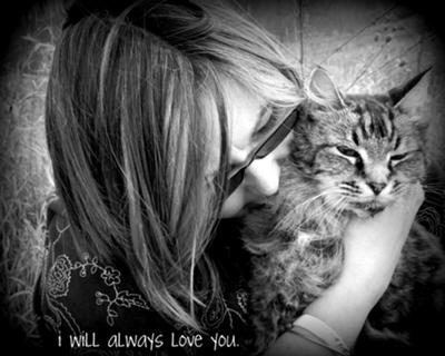 King Lewie lewie the cat being cuddled by his owner.