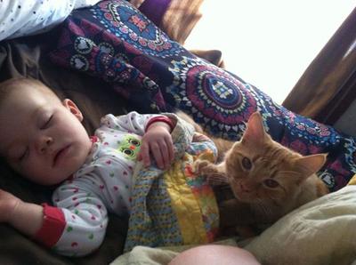 Captain Kirk and Mina napping baby with a ginger maine coon on her lap.