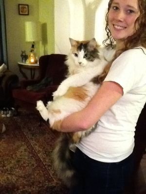 Kitty Kat