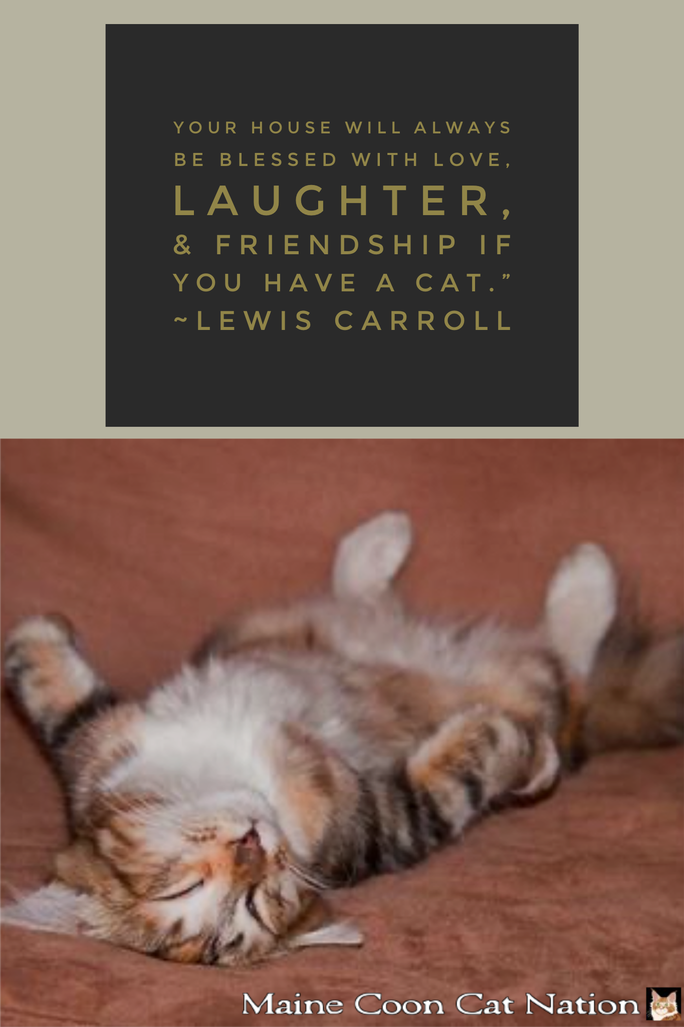 lewis carroll cat quote and cat image