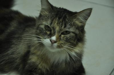 Lili