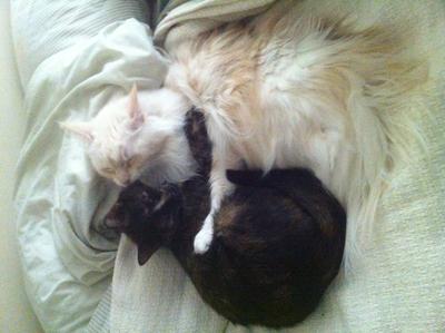 Lily and Laynie