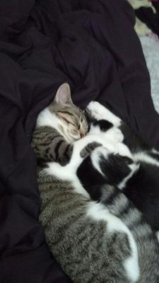 Liz & Luna