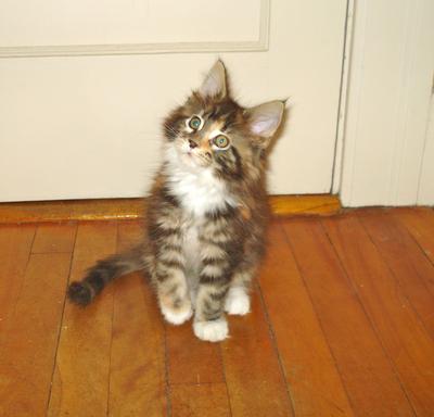 Lucy