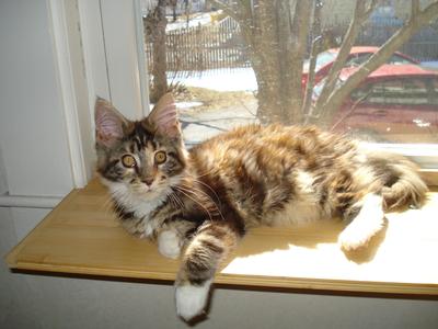 Lucy