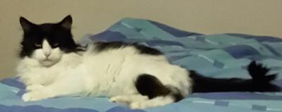 Luna