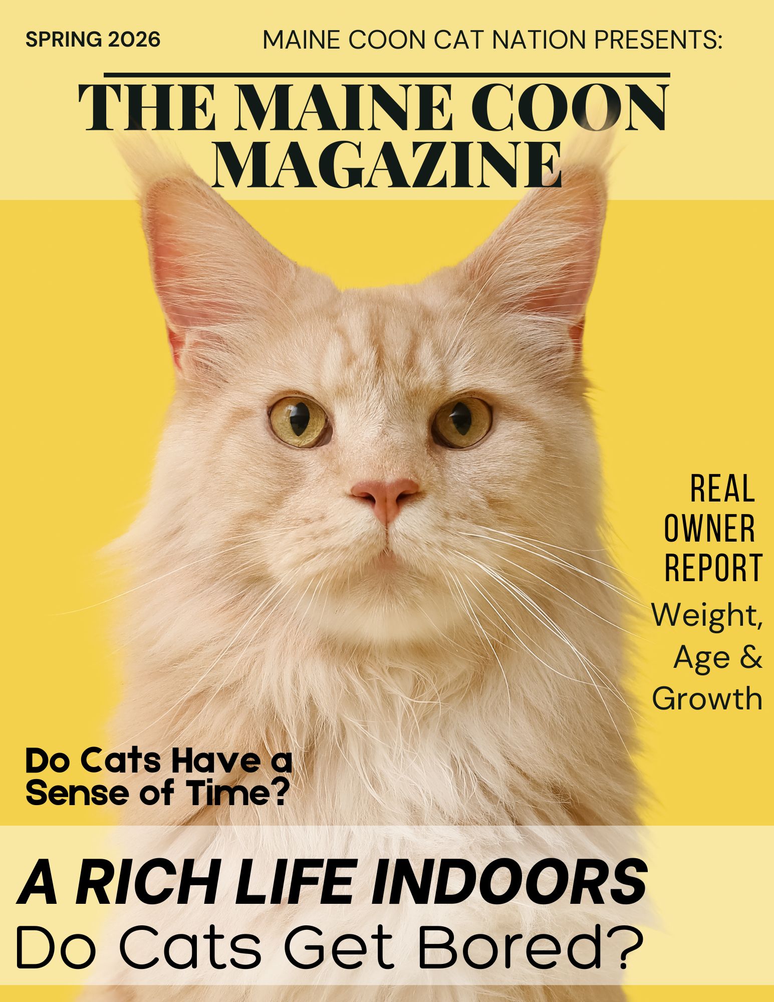 spring maine coon magazine is coming soon.
