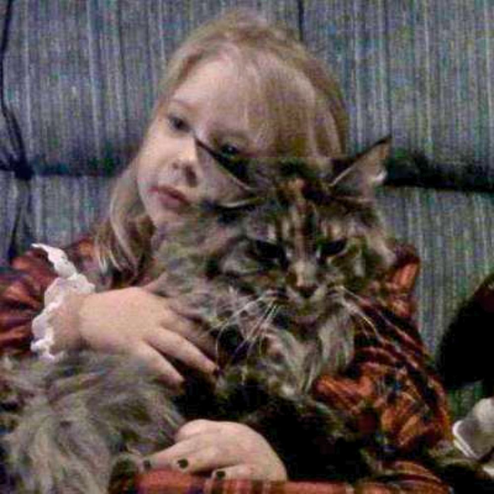 little girl holding a maine coon cat on her lap.