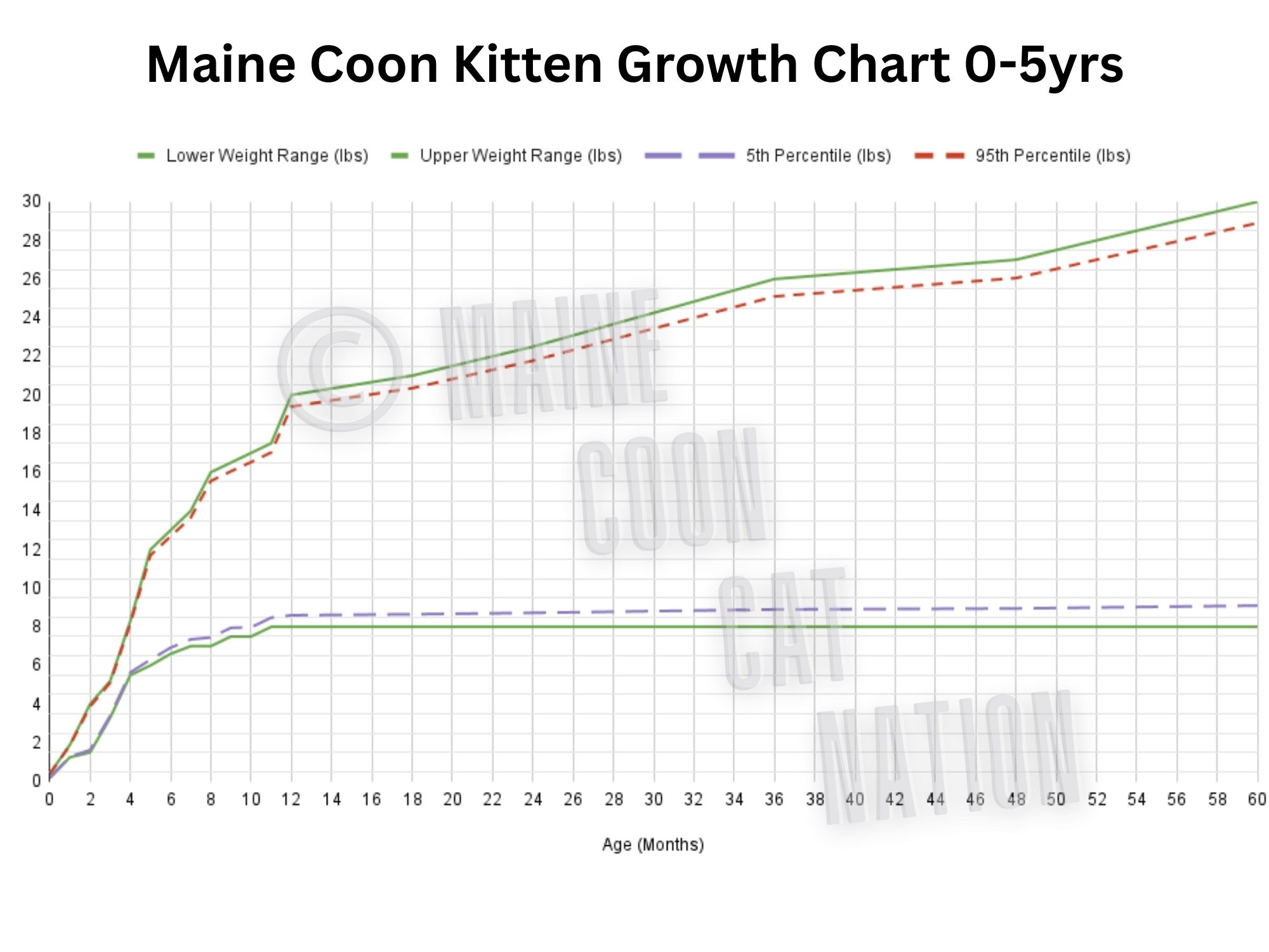 Kitten Growth Chart maine coon weight growth and size chart.