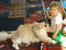 baby playing with toys with cat nearby.