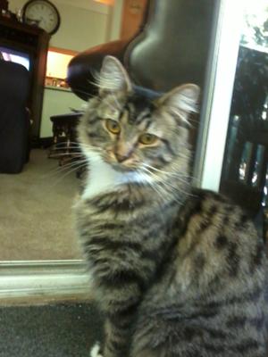 marleys most recent picture