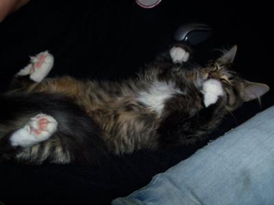 marleys nap time