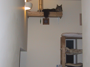 Marmite and Rolo