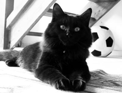 Max