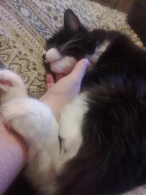 Max