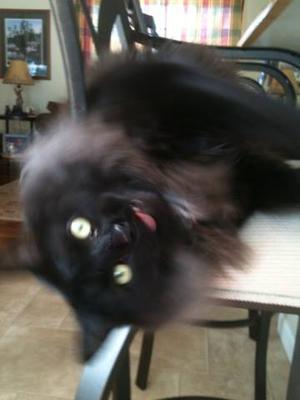Max