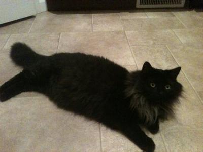 Max