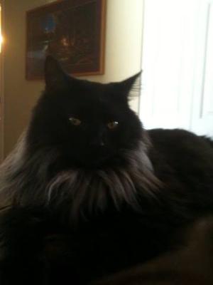 Max