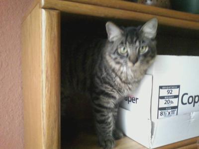 Max