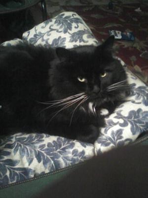 Max