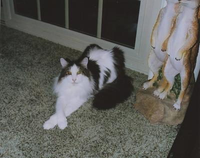 Maximillian