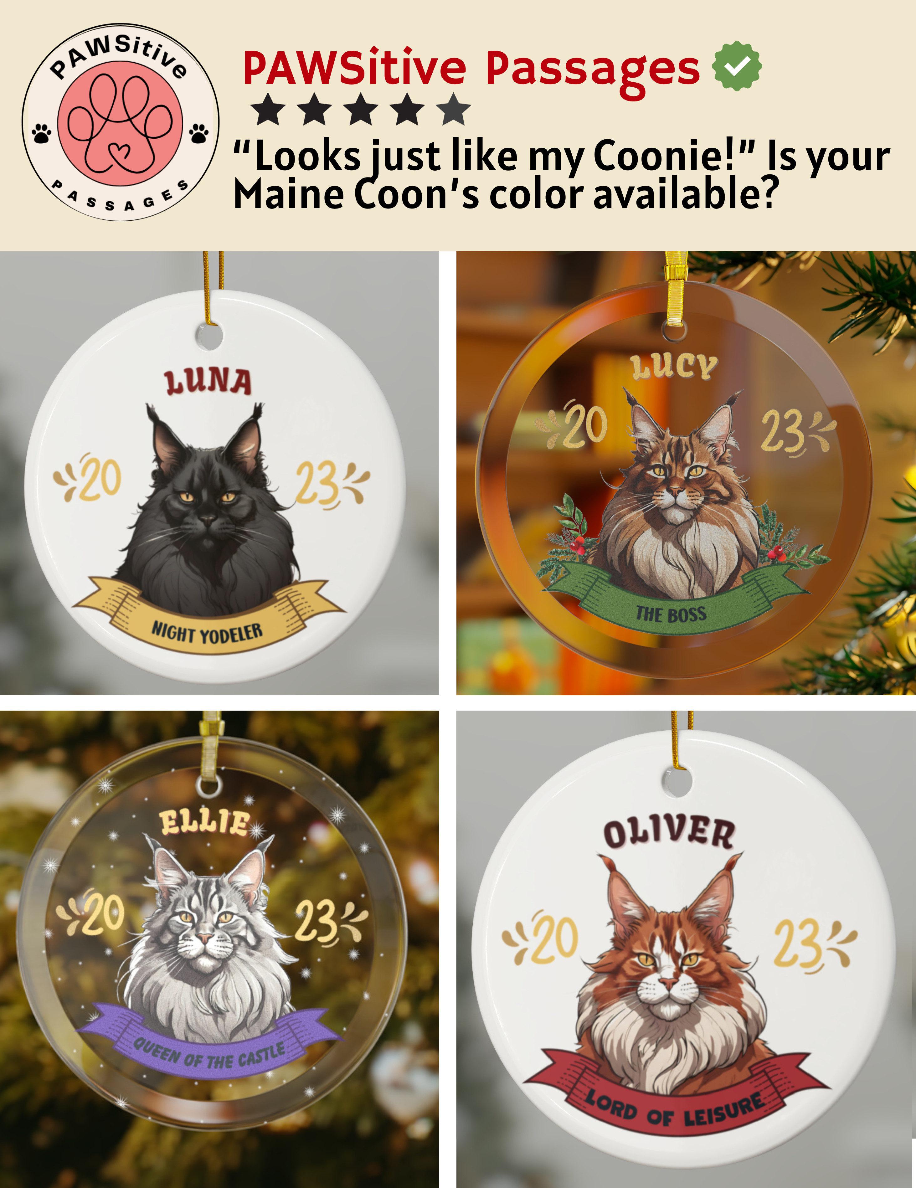 Maine Coon Cat Grooming Tools