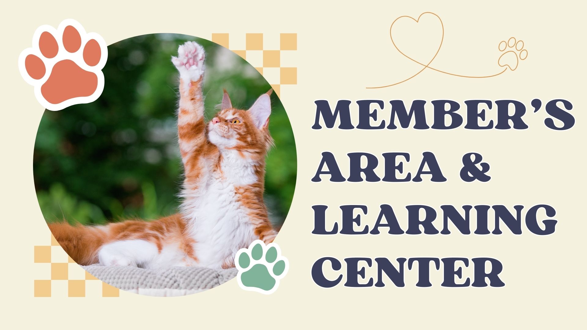 information about the members area.