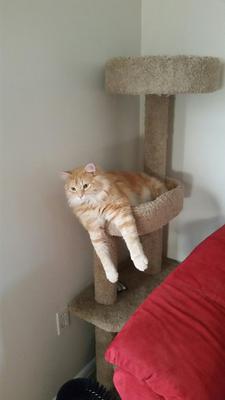 Milo