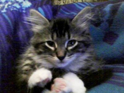 Minnie