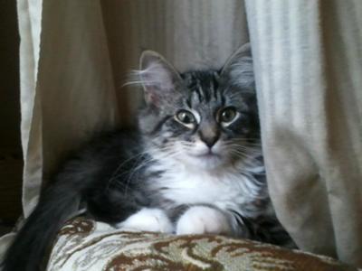 Minnie