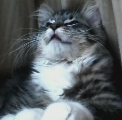 Minnie