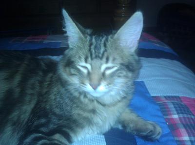 Mister
