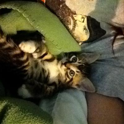 Mittens