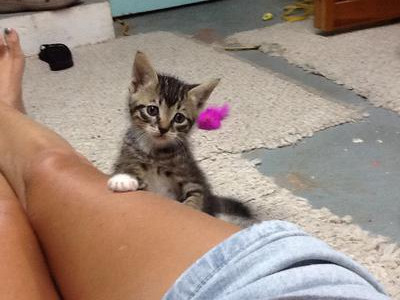Mittens