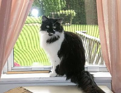 Molly