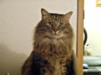 Monty