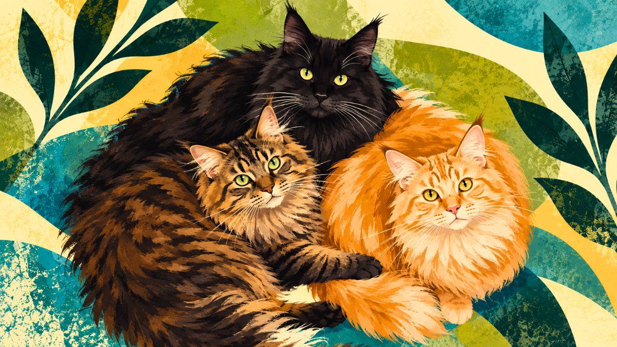 Illustration of three Maine Coon cats cuddled together, a black, a brown tabby and a red tabby, on a teal and gold leaf background.
