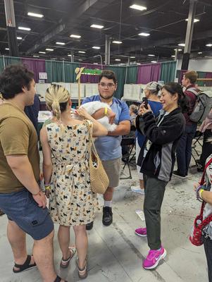 At a Cat Show a group of people at a cat show crowded around a white maine coon.