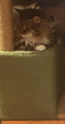 She’s modeling for me 😂 no, she probably heard something. 